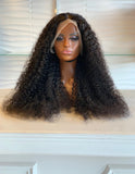 Jerry Curly Lace Wig